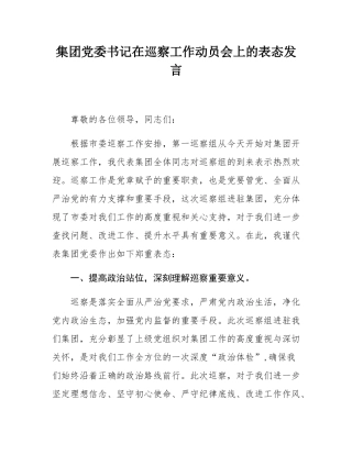 集团党委书记在巡察工作动员会上的表态发言.docx