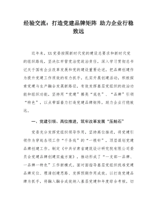 经验交流：打造党建品牌矩阵 助力企业行稳致远.docx