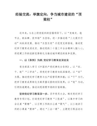 经验交流：举旗定向，争当城市建设的“顶梁柱”.docx