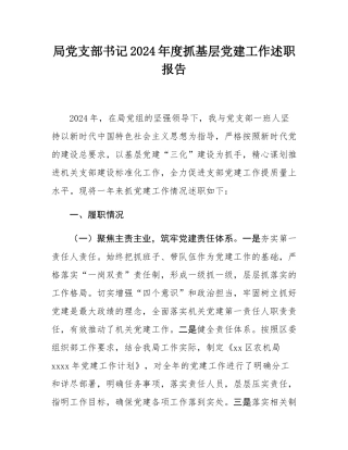 局党支部书记2024年度抓基层党建工作述职报告.docx