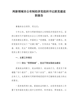 两新领域非公有制经济党组织书记抓党建述职报告.docx