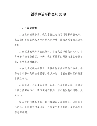 领导讲话写作金句30例.docx