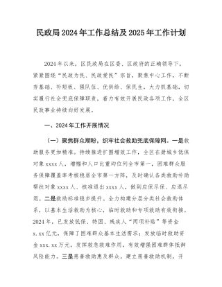 民政局2024年工作总结及2025年工作计划.docx