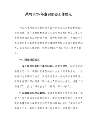 某局2025年意态工作要点.docx