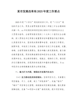 某市发展改革局2025年度工作要点.docx