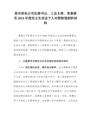 某市供电公司纪委书记、工会主席、党委委员2024年度民主SH会个人对照检视剖析材料.docx