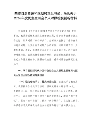 某市自然资源和规划局党组书记、局长关于2024年度民主SH会个人对照检视剖析材料.docx
