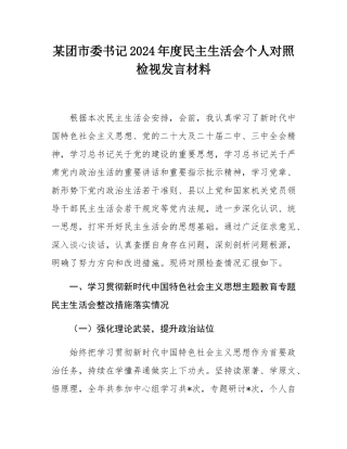 某团市委书记2024年度民主SH会个人对照检视发言材料.docx