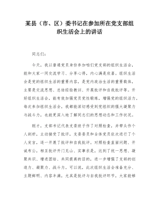 某县（市、区）委书记在参加所在党支部组织SH会上的讲话.docx