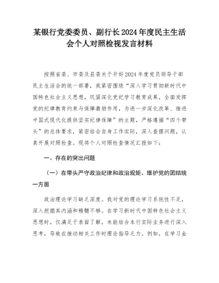 某银行党委委员、副行长2024年度民主SH会个人对照检视发言材料.docx
