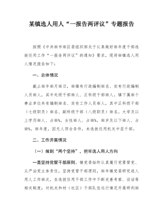 某镇选人用人“一报告两评议”专题报告.docx