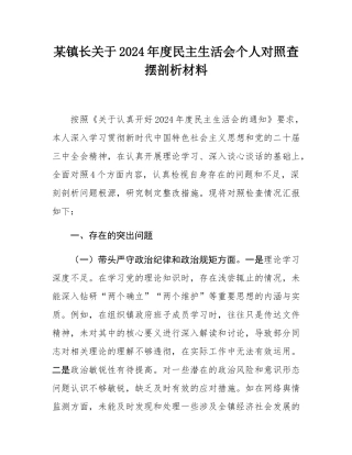 某镇长关于2024年度民主SH会个人对照查摆剖析材料.docx
