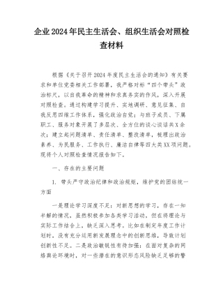 企业2024年民主SH会、组织SH会对照检查材料.docx