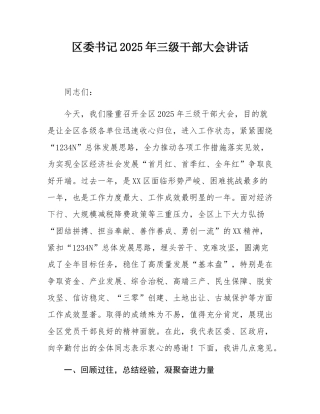 区委书记2025年三级干部大会讲话.docx