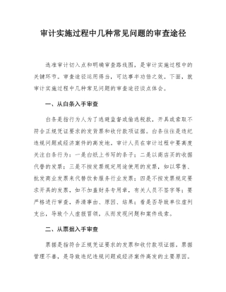 审计实施过程中几种常见问题的审查途径.docx