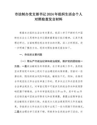 市法制办党支部书记2024年组织SH会个人对照检查发言材料.docx