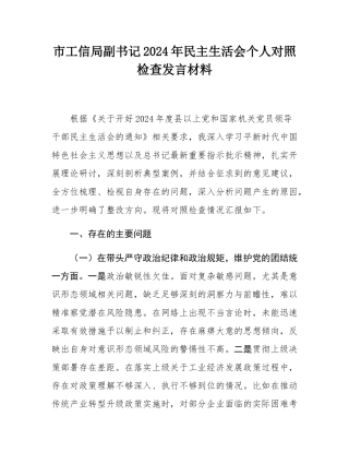 市工信局副书记2024年民主SH会个人对照检查发言材料.docx