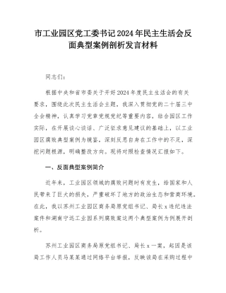 市工业园区党工委书记2024年民主SH会反面典型案例剖析发言材料.docx