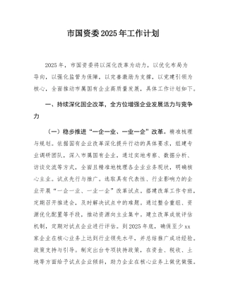 市国资委2025年工作计划.docx