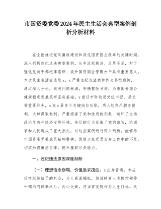 市国资委党委2024年民主SH会典型案例剖析分析材料.docx