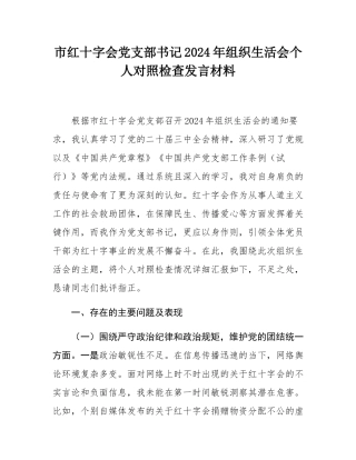 市红十字会党支部书记2024年组织SH会个人对照检查发言材料.docx