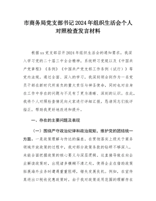 市商务局党支部书记2024年组织SH会个人对照检查发言材料.docx