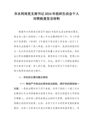 市水利局党支部书记2024年组织SH会个人对照检查发言材料.docx
