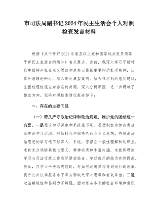 市司法局副书记2024年民主SH会个人对照检查发言材料.docx