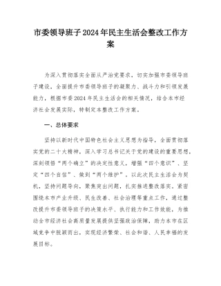 市委领导班子2024年民主SH会整改工作方案.docx