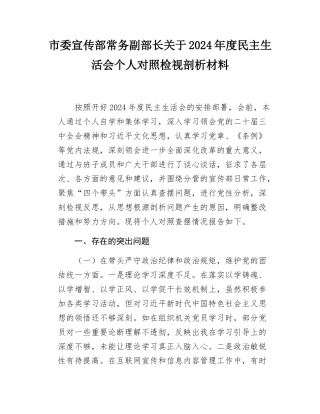 市委宣传部常务副部长关于2024-2025年度民主SH会个人对照检视剖析材料.docx