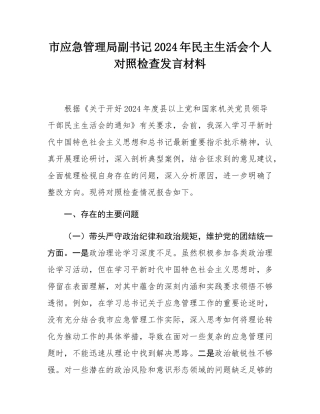 市应急管理局副书记2024年民主SH会个人对照检查发言材料.docx