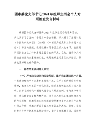 团市委党支部书记2024年组织SH会个人对照检查发言材料.docx