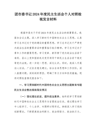 团市委书记2024年度民主SH会个人对照检视发言材料.docx