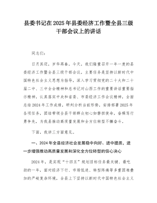 县委书记在2025年县委经济工作暨全县三级干部会议上的讲话.docx