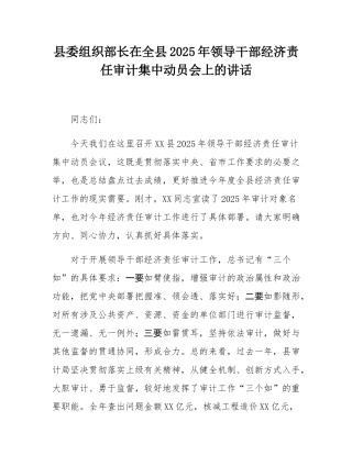 县委组织部长在全县2025年领导干部经济责任审计集中动员会上的讲话.docx