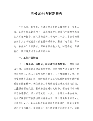 县长2024年述职报告.docx