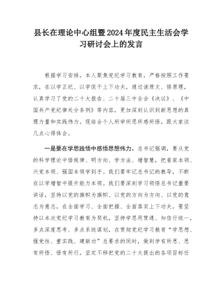 县长在理论中心组暨2024年度民主SH会学习研讨会上的发言.docx