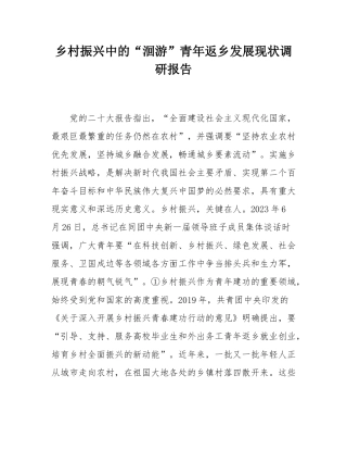 乡村振兴中的“洄游”青年返乡发展现状调研报告.docx