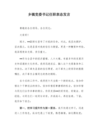 乡镇党委书记任职表态发言.docx