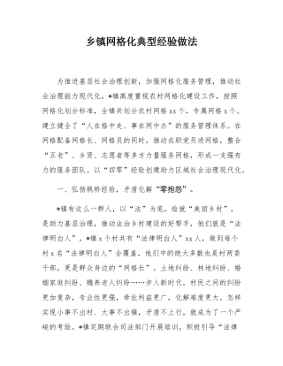 乡镇网格化典型经验做法.docx