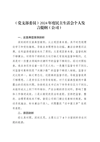 （党支部委员）2024年度民主生活会个人发言提纲（公司）.docx