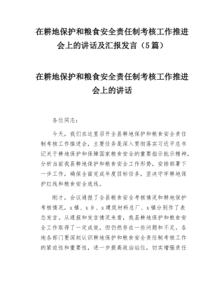 在耕地保护和粮食安全责任制考核工作推进会上的讲话及汇报发言（5篇）.docx