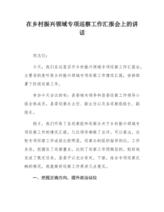 在乡村振兴领域专项巡察工作汇报会上的讲话.docx