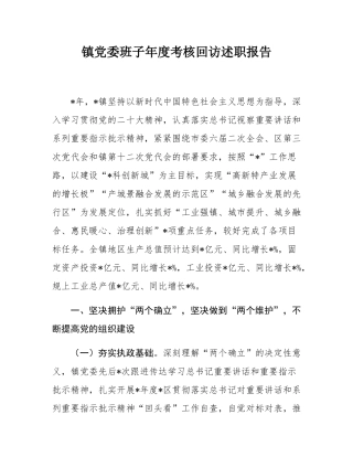 镇党委班子年度考核回访述职报告.docx