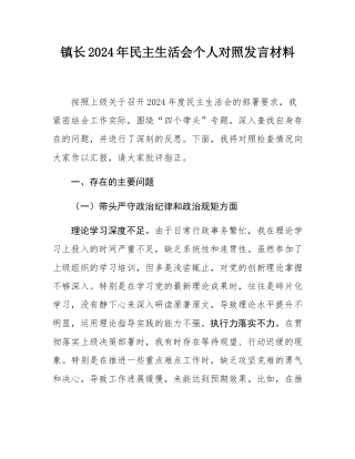 镇长2024年民主SH会个人对照发言材料.docx