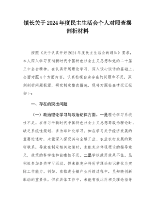 镇长关于2024年度民主SH会个人对照查摆剖析材料.docx