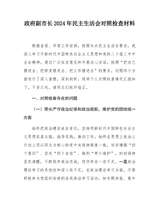 政府副市长2024年民主SH会对照检查材料.docx