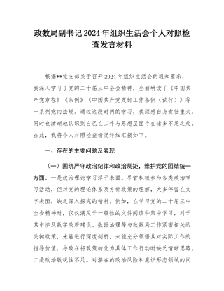 政数局副书记2024年组织SH会个人对照检查发言材料.docx