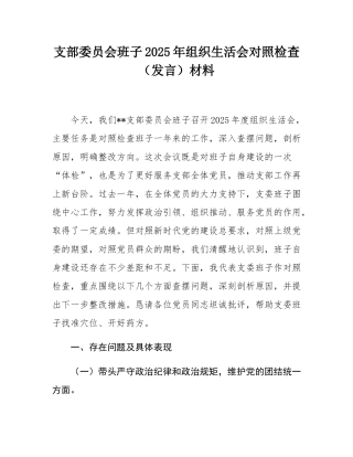 支部委员会班子2025年组织SH会对照检查（发言）材料.docx