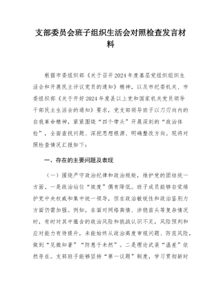 支部委员会班子组织SH会对照检查发言材料.docx